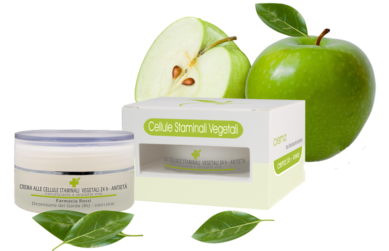 Crema cellule staminali vegetali - immagine 2